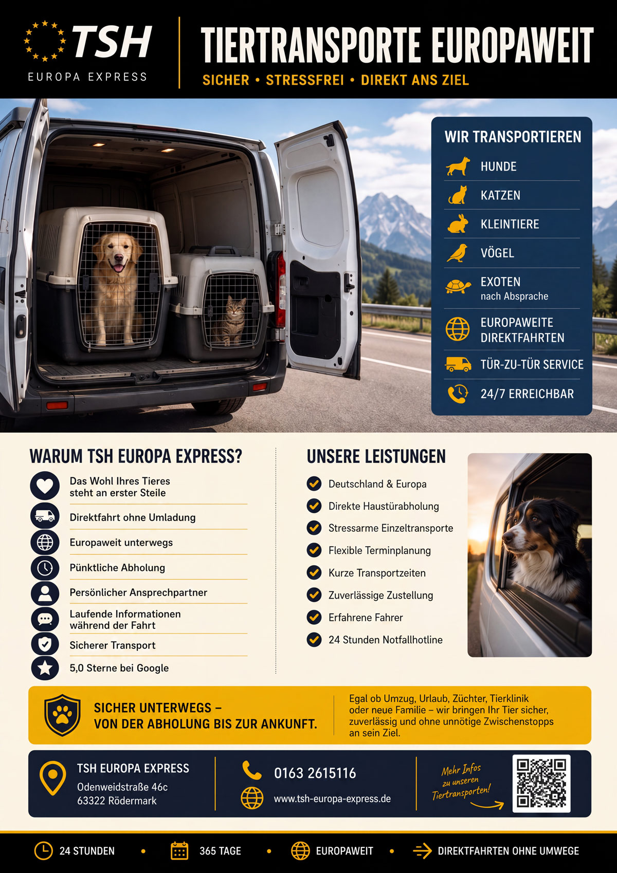 Tiertransporte-Eutopaweit-3 Tiertransporte-Europaweit-3